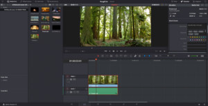 how to use davinci resolve on a network