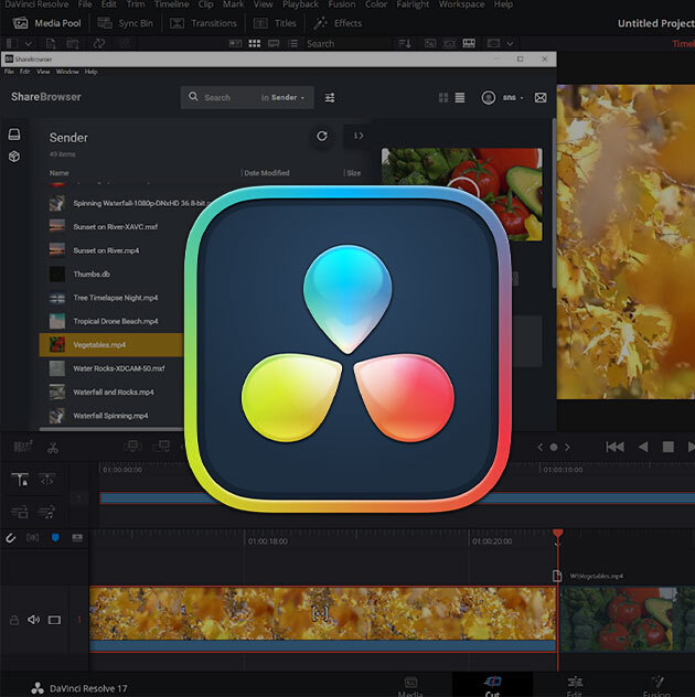 Blackmagic Design DaVinci Resolve Studio logo on video editing timeline with ShareBrowser MAM workflow integration plug-in